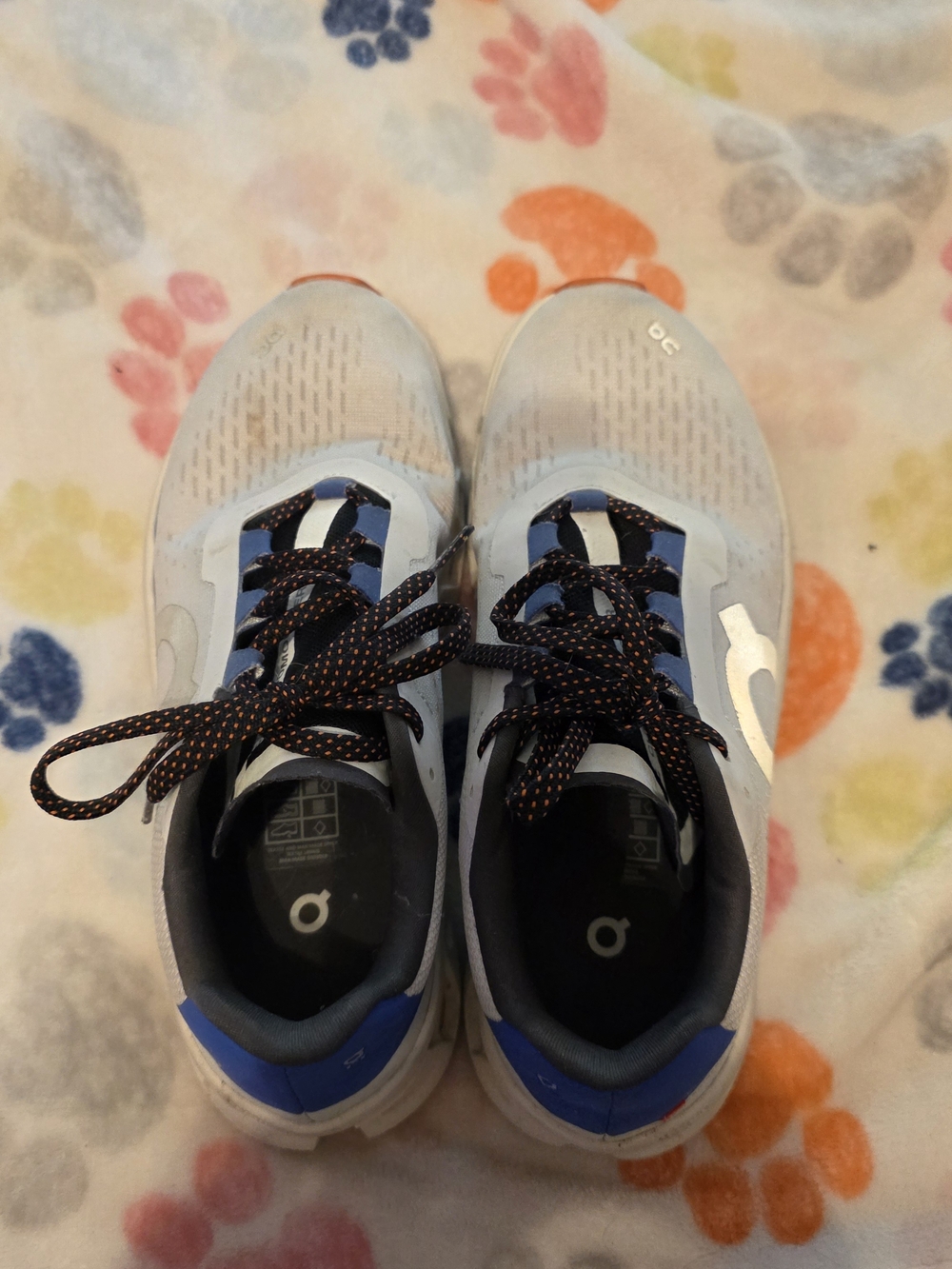 Light Gray and Blue Women's Running Sneakers